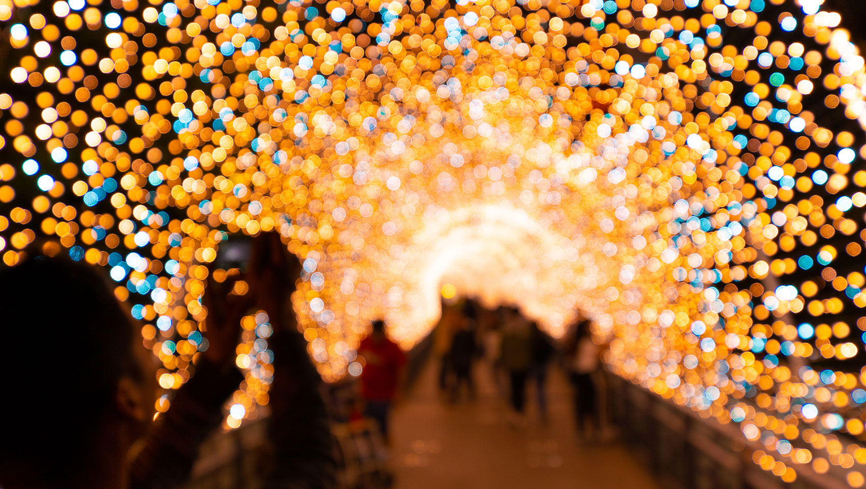 Holiday tunnel of lights