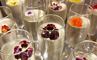 Cocktails with Flower garnishes
